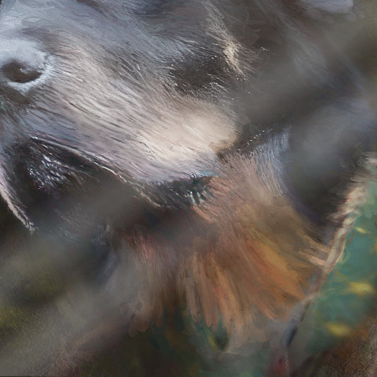 Highlander - Custom Royal Pet Portrait Framed