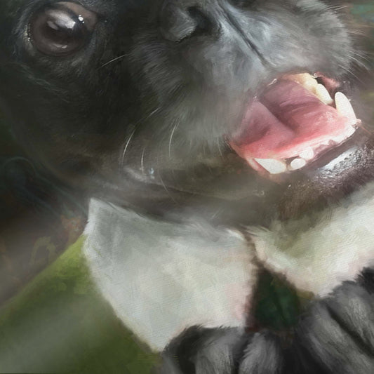 Elf - Custom Pet Portrait Framed