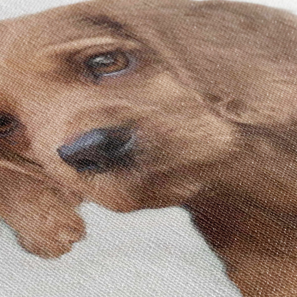 Full Colour Custom Pet Portrait Canvas