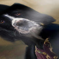 Baron - Custom Royal Pet Portrait Framed