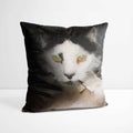 Blofeld - Custom Pet Portrait Cushion