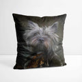 Dandy - Custom Royal Pet Portrait Cushion