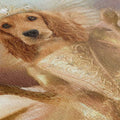 Fairy - Custom Pet Portrait Canvas
