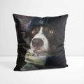 Fan - Custom Pet Portrait Cushion