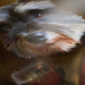 Gordon - Custom Royal Pet Portrait Framed