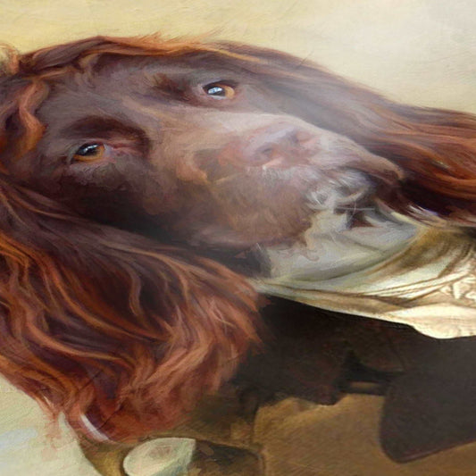 Heathcliff - Custom Royal Pet Portrait Framed