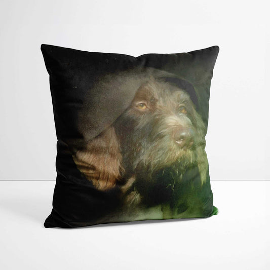 Jedi - Custom Pet Portrait Cushion