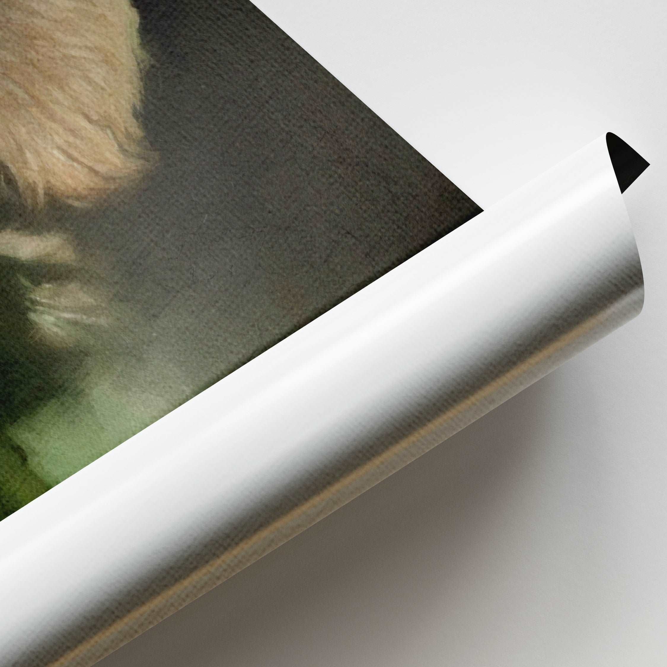 Jedi - Custom Pet Portrait Art Print