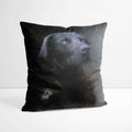 Lancelot - Custom Royal Pet Portrait Cushion