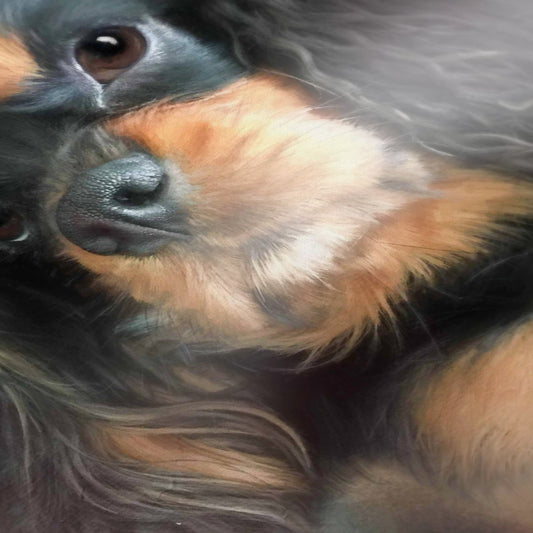 Traditional Red Hue - Custom Pet Portrait Framed
