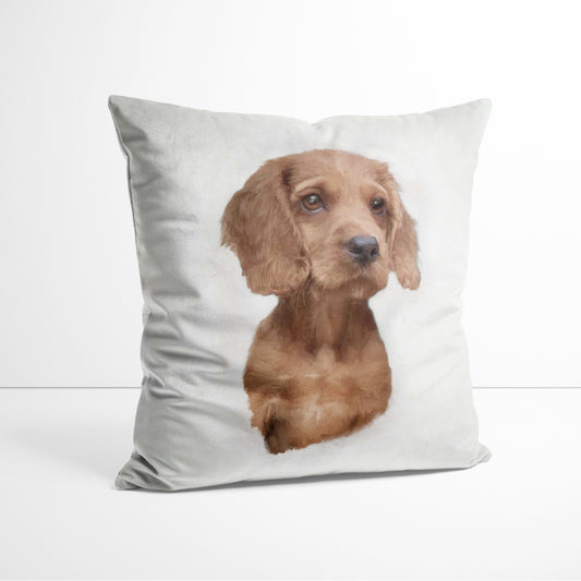 Full Colour - Custom Pet Portrait Cushion